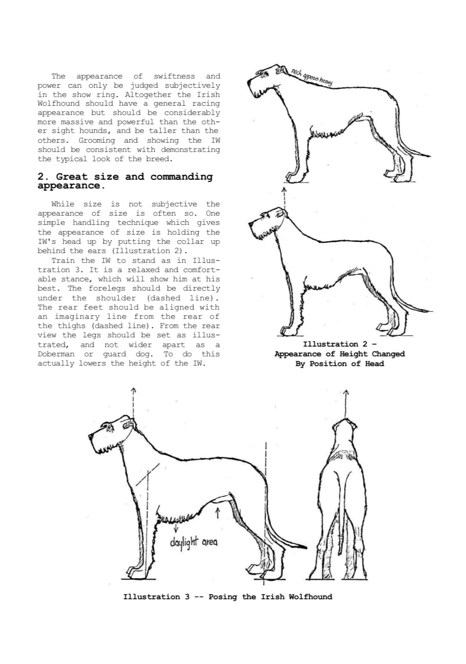 Photo of old text about grooming of Irish Wolfhounds interspersed with line art illustrations