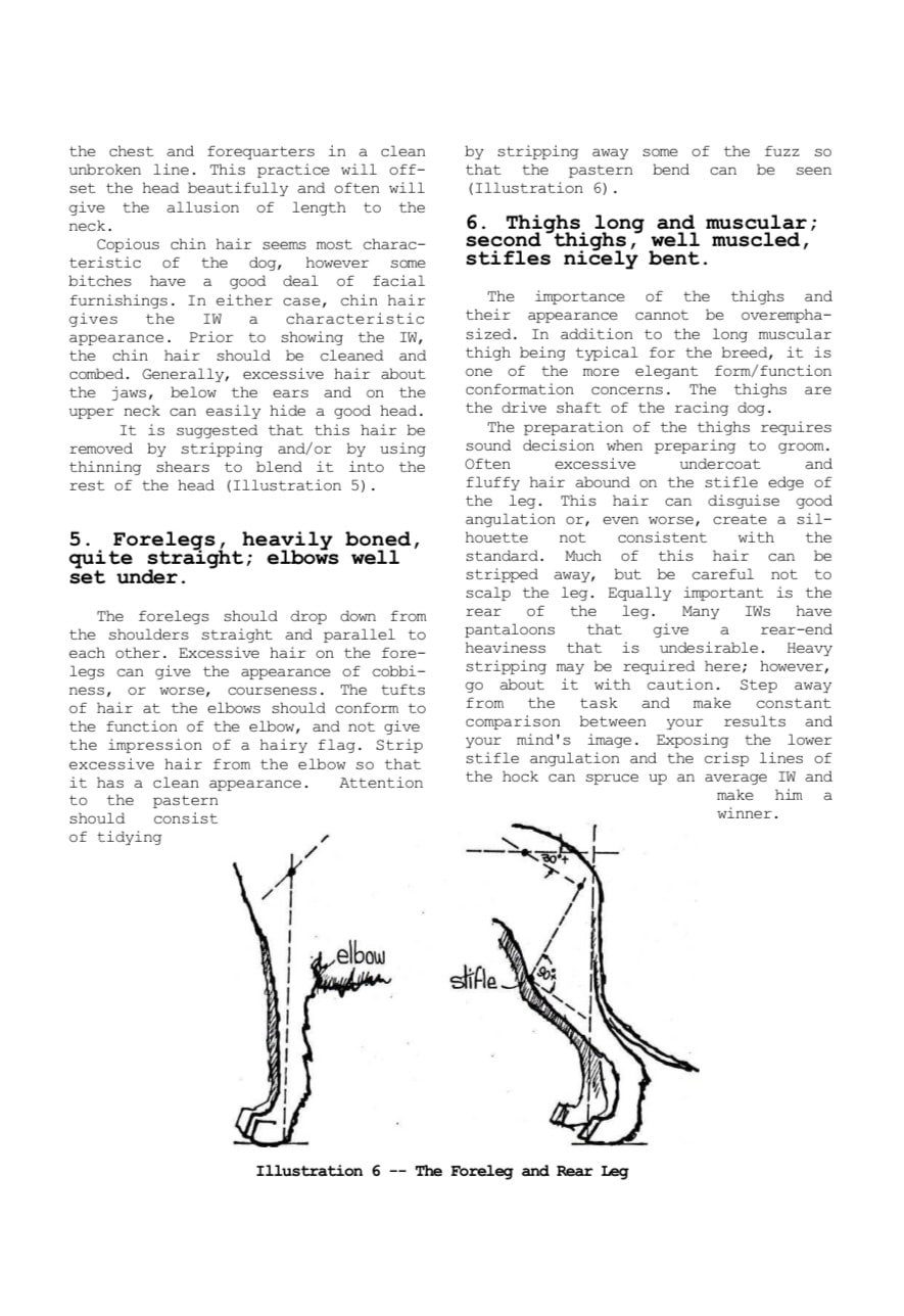 Photo of old text about grooming of Irish Wolfhounds interspersed with line art illustrations