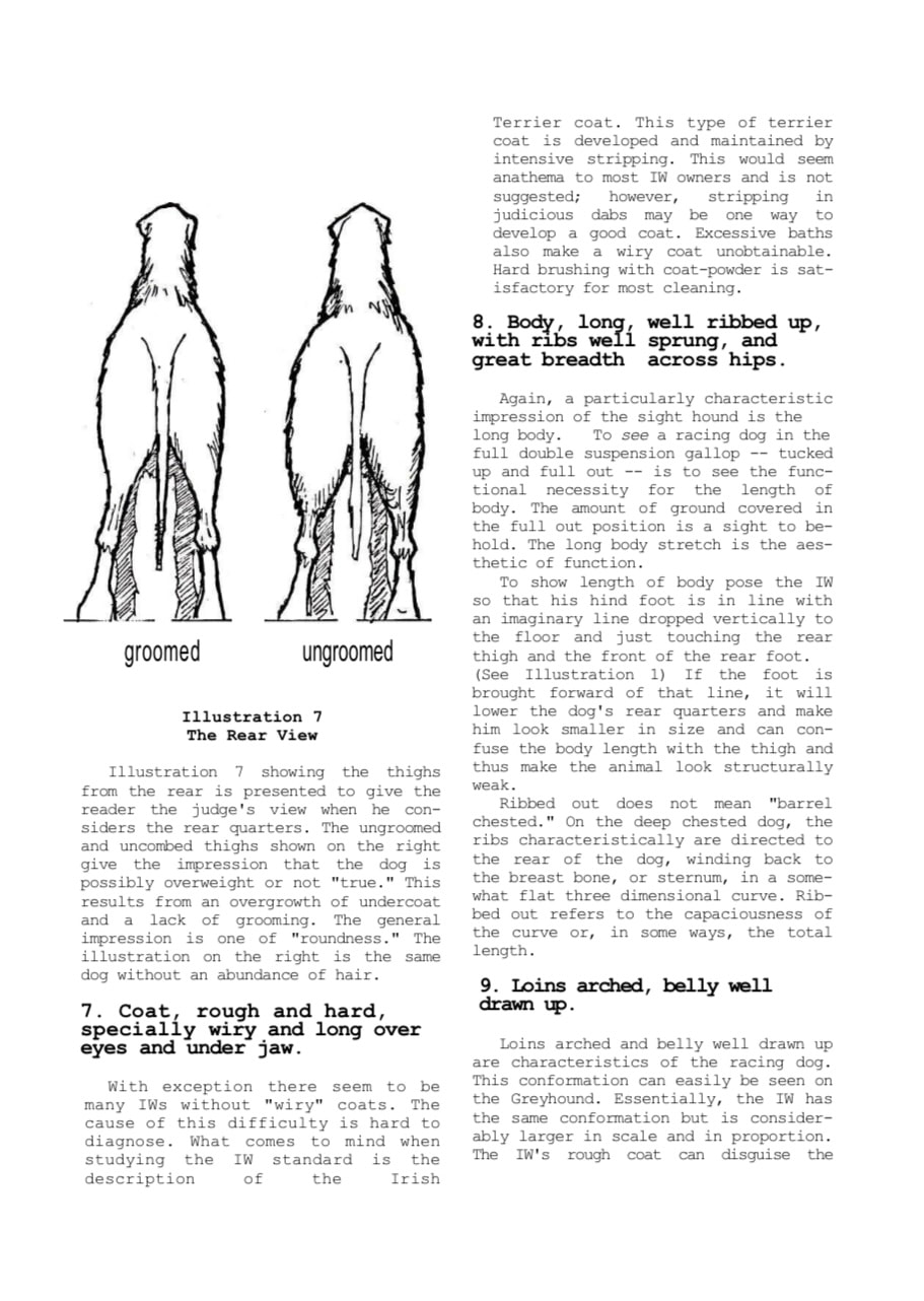 Photo of old text about grooming of Irish Wolfhounds interspersed with line art illustrations